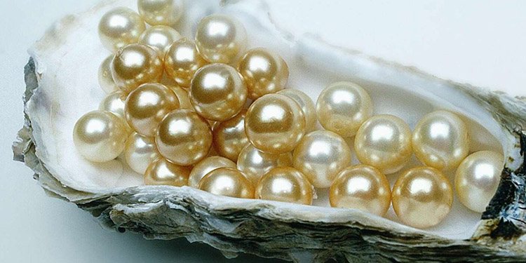 saltwater pearls vs freshwater pearls comparison